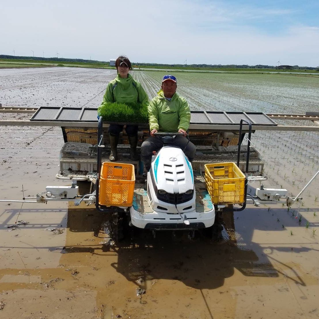 愛情を注ぎます